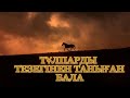 ТҰЛПАРДЫ ТЕЗЕГІНЕН ТАНИТЫН ҚАНАЙ СЫНШЫ (аңыз)