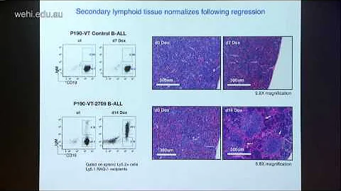 Witkowski (2015): Reversible tumour suppression by...