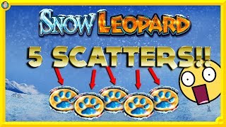 BIGGGGG !!! ULTRA RARE 5 SCATTERS on SNOW LEOPARD SLOT !!! 🐆 screenshot 4