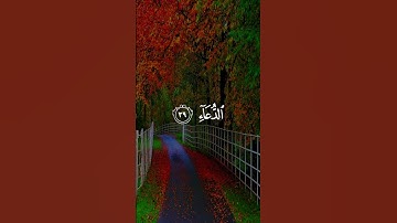 #قرآن #تلاوة_خاشعة #راحة_نفسية #اكسبلور_explore #اكسبلور