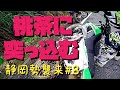 [モトブログ]突っ込む事故伊豆1泊2日林道ツー静岡勢襲来第八話[motovlog]KAWASAKI KLX125 KLX250 KTM250excfツーリング転倒あり