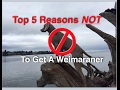 Top 5 Reasons NOT To Get A Weimaraner