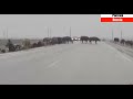 Как корова на льду