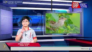 ATHARV PATHAK IV B | GD GOENKA, AGRA | GAP 24.07.2026 screenshot 5