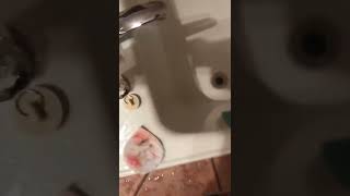 This is what you should do if your bathtub does not work