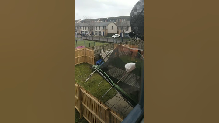storm eowyn at glasgow scotland 🏴󠁧󠁢󠁳󠁣󠁴󠁿 in garden 🪴