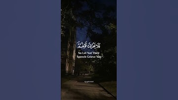 (فلا يحزنك قولهم إنا نعلم ما يسرون وما يعلنون)  سورة يس قرآن _Quran.