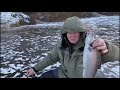 Форель после запуска ушла в другой конец водоема! Клевое Место, Юдино