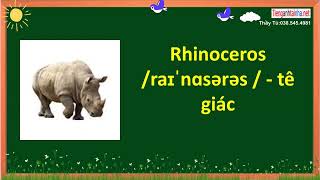 47 từ vựng về động vật , các bé  cần biết