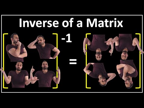 What is the Inverse of a Matrix ??? : Data Science Basics