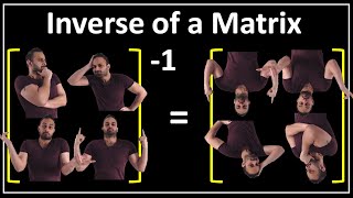 What is the Inverse of a Matrix ??? : Data Science Basics