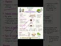 Class 11 Biology Chapter 2 | Biological Classification Notes 🧫 | Fungi Kingdom Easy Notes| #biology