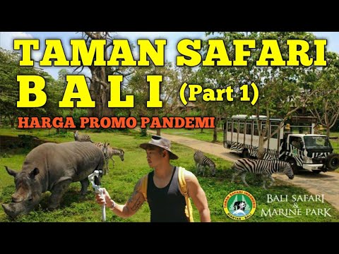 Harga COVID???? - Bali Safari and Marine Park (Part 1/4 ...