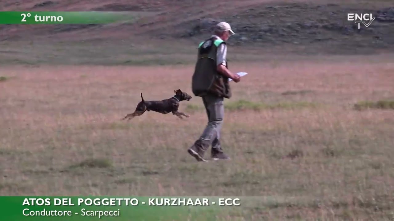 CAMPO FELICE 2025 - ECCELLENZA CONTINENTALI