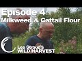 Survivorman | Les Stroud's Wild Harvest | Season 1 | Episode 4 | Milkweed & Cattail Flour