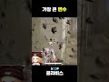 가장큰변수