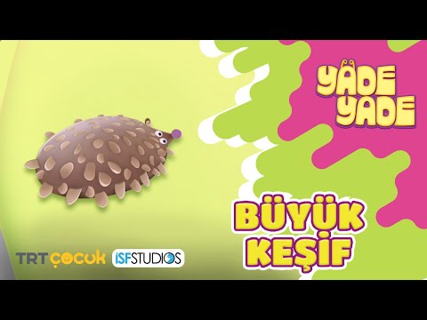 Yade Yade 44. Bölüm | BÜYÜK KEŞİF