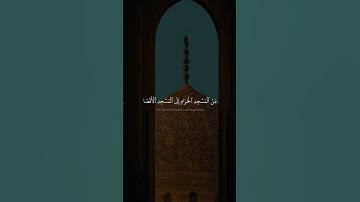 سُبۡحَٰنَ ٱلَّذِيٓ أَسۡرَىٰ بِعَبۡدِهِۦ لَيۡلٗا | محمد صديق المنشاوي | سورة الإسراء