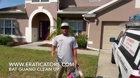 Bat Guano Clean Up and Sanitization