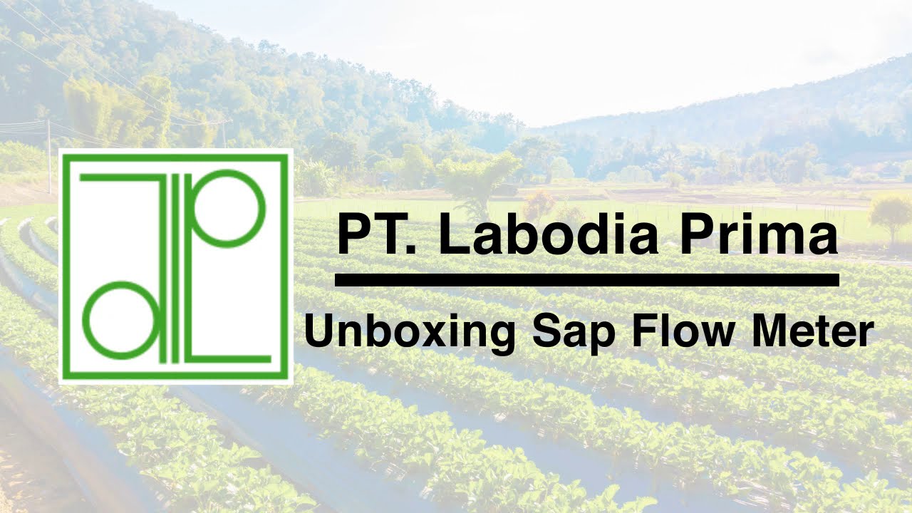 Sap Flow Meter SFM1 Unboxing YouTube