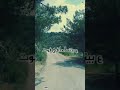 حالة واتس وائل كفوري ميت فيكي