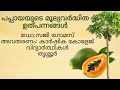 Value Added Products from Papaya | Parvana 2021 | KAU | Krishi Bhavan Mukkam