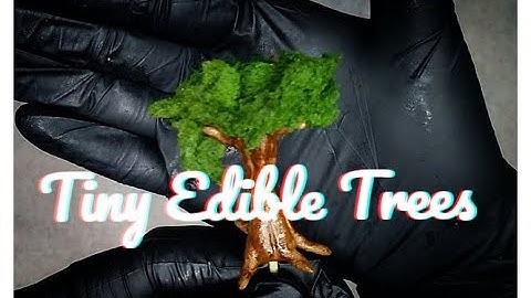 Edible Moss + Tiny edible trees