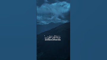 #قرآن #اللهم_صل_وسلم_على_نبينا_محمد #راحة_نفسية #تلاوة_خاشعة #لايك #tiktok #اكسبلور