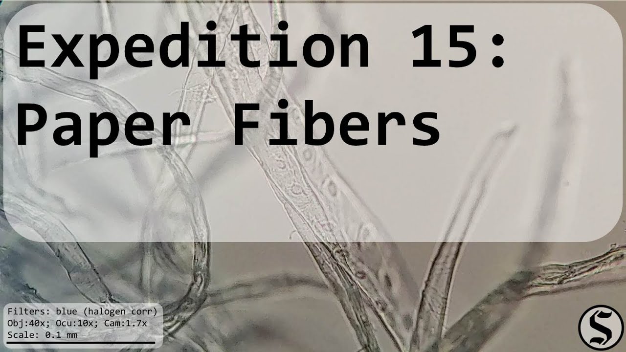 Expedition 15 - Paper Fibers