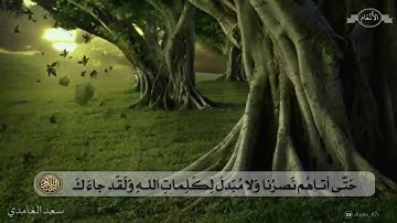 سورة الانعام مكتوبة كاملة بصوت سعد الغامدي