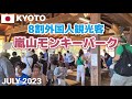 【京都】8割外国人観光客の嵐山モンキーパーク 野生のニホンザルに会えて大満足! Arashiyama Monkey Park, Kyoto, Japan
