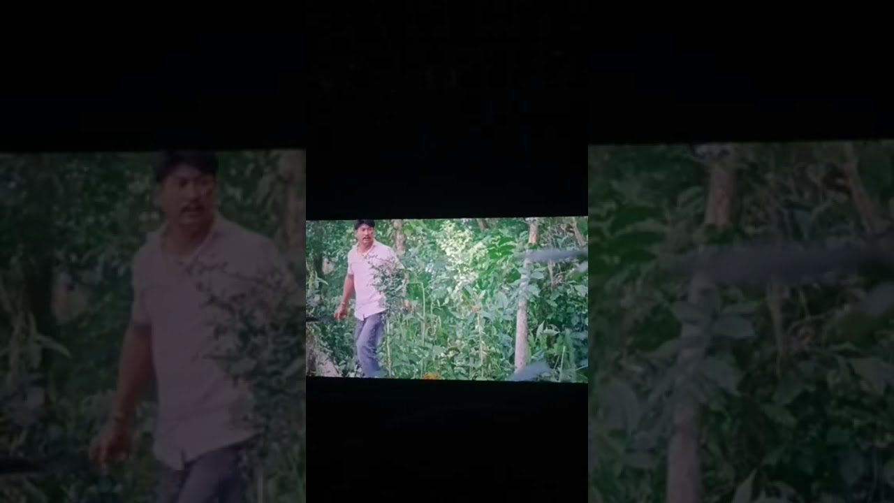 Thwisam 2 Bodo action short movie 