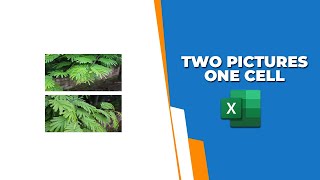 How to put two pictures in one cell in Excel