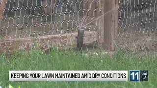 Experts share tips on how to keep your lawn maintained in Colorado amid dry conditions