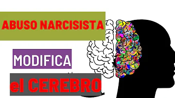 ¿Qué le ocurre al cerebro durante el abuso narcisista?