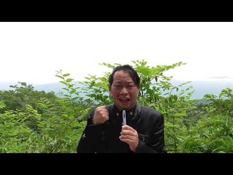 歴代総理大臣97代史・第63代 佐藤栄作（後編）