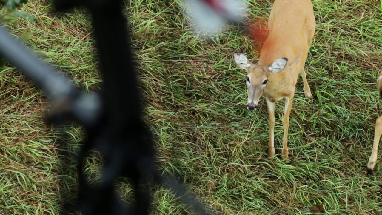 Drop Zone TV - Cornhusker Chess Match - Outdoor Channel