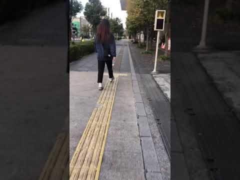 TRAIN IN JAPAN | REXLYN #tutorials #productreviews #makemoneyonline #passiveincome