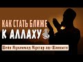 Как человеку стать ближе к Аллаху и заслужить Его довольство? Шейх Мухаммад Мухтар аш-Шанкыти