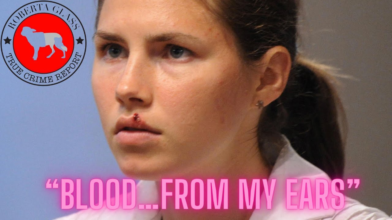 Amanda Knox Explains it All to You YouTube