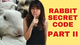Famous Understand Rabbit Body Languages (Secret of Rabbit Codes 2) Net Worth