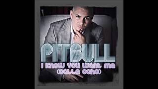 Nicola Fasano Pat Rich vs Pitbull - 75 Brazil Street I Know You Want Me (Calle Ocho MashUp)