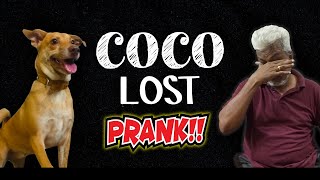 COCO va காணுமா !? - PRANK | HE CRIED !