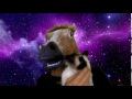 THE BIG HORSE AND THE PUSSY
