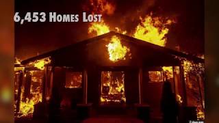 Smith Family GoFundMe Campaign
