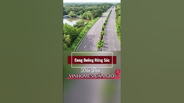 Rừng Sác Cần Giờ - Khu dự trữ sinh quyển rừng ngập mặn Cần Giờ