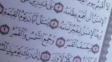 سورة القيامه كما لم تسمعها من قبل