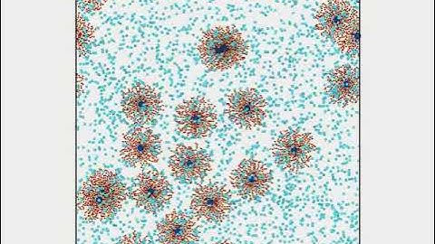 Adsorption of star polymers immersed in a crowder solution.