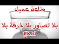 أحسن وأسهل تطويع والله العظيم ناجح مشي الراجل تحت يديك أحسن وأسهل تطويع والله العظيم ناجح مشي الراجل تحت يديك