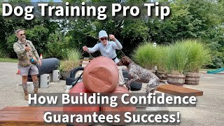 How We Teach Dogs To Overcome Obstacles | Build Confidence To Guarantee Success!